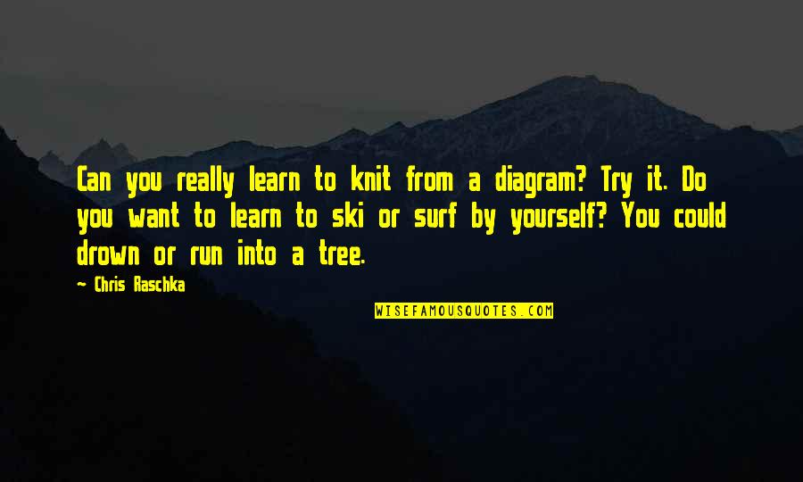 Learn To Do It Yourself Quotes By Chris Raschka: Can you really learn to knit from a