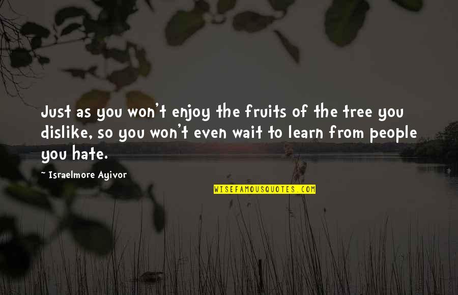 Learn To Hate Quotes By Israelmore Ayivor: Just as you won't enjoy the fruits of