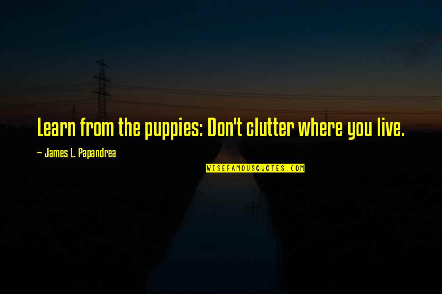 Learn To Not Care Quotes By James L. Papandrea: Learn from the puppies: Don't clutter where you