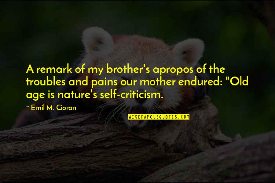 Learn To Save Quotes By Emil M. Cioran: A remark of my brother's apropos of the