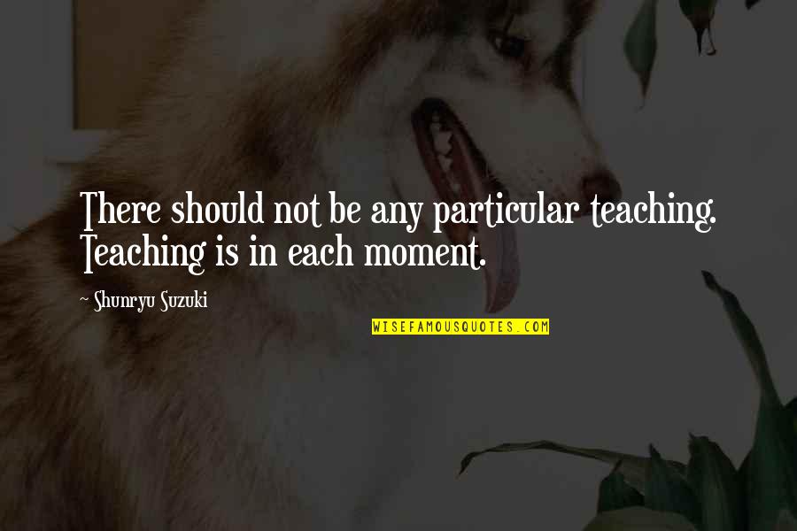Learner Motivation Quotes By Shunryu Suzuki: There should not be any particular teaching. Teaching