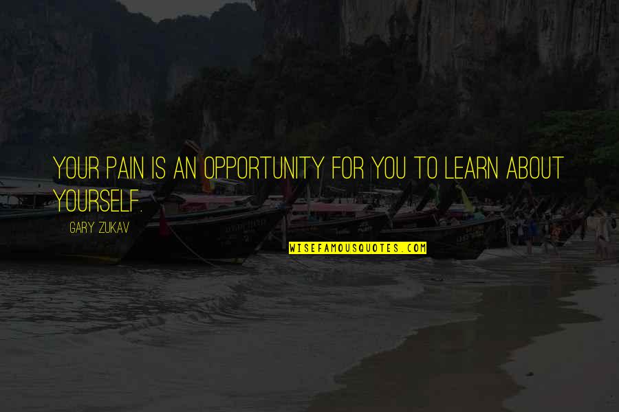 Learning About Yourself Quotes By Gary Zukav: Your pain is an opportunity for you to