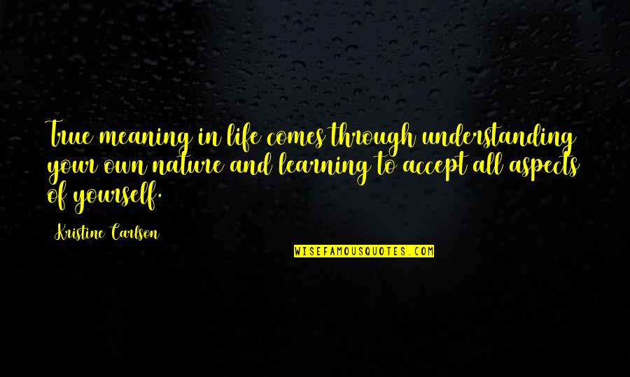 Learning And Life Quotes By Kristine Carlson: True meaning in life comes through understanding your