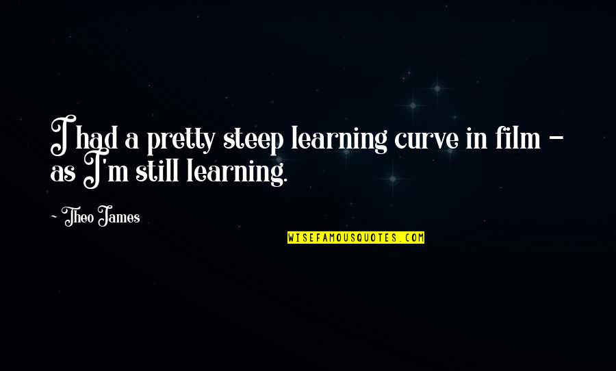 Learning Curve Quotes By Theo James: I had a pretty steep learning curve in