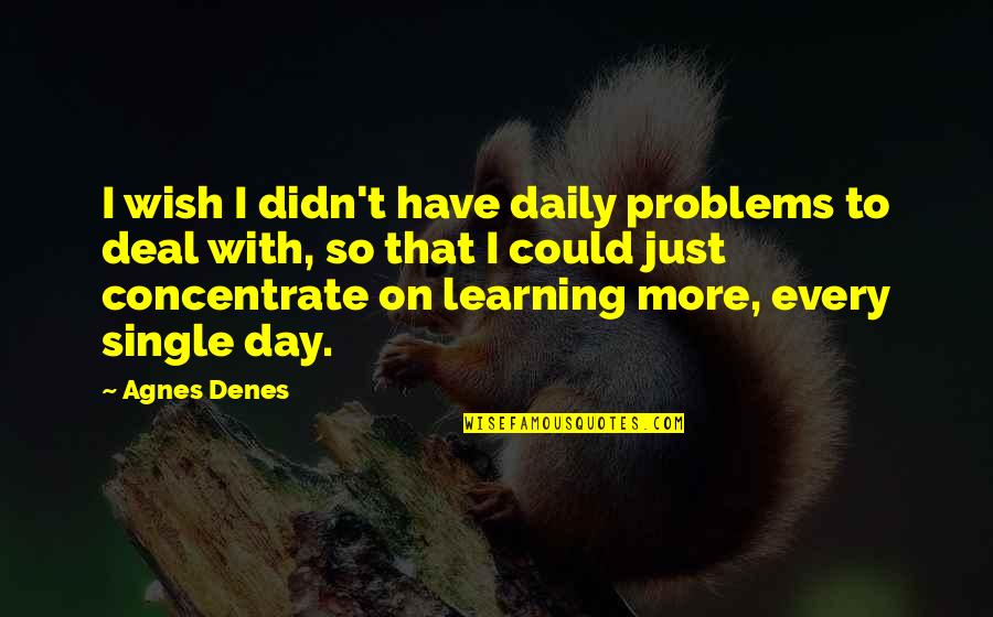 Learning Each Day Quotes By Agnes Denes: I wish I didn't have daily problems to