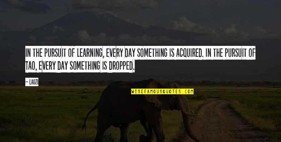 Learning Each Day Quotes By Laozi: In the pursuit of learning, every day something