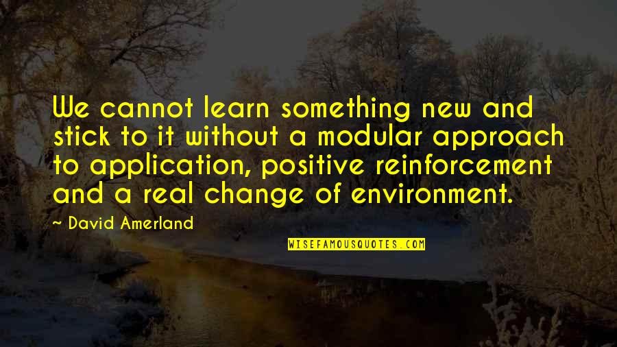 Learning Environment Quotes By David Amerland: We cannot learn something new and stick to