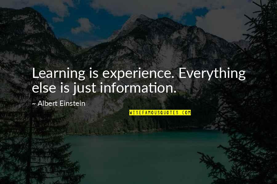 Learning Everything Quotes By Albert Einstein: Learning is experience. Everything else is just information.
