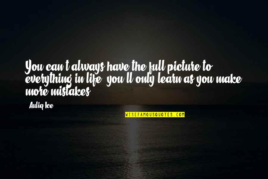 Learning From Your Mistakes Quotes By Auliq Ice: You can't always have the full picture to