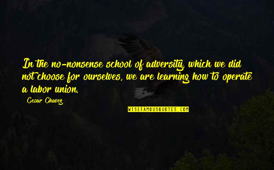 Learning In School Quotes By Cesar Chavez: In the no-nonsense school of adversity, which we