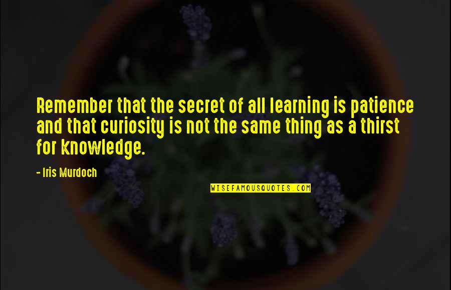 Learning Is Not Quotes By Iris Murdoch: Remember that the secret of all learning is