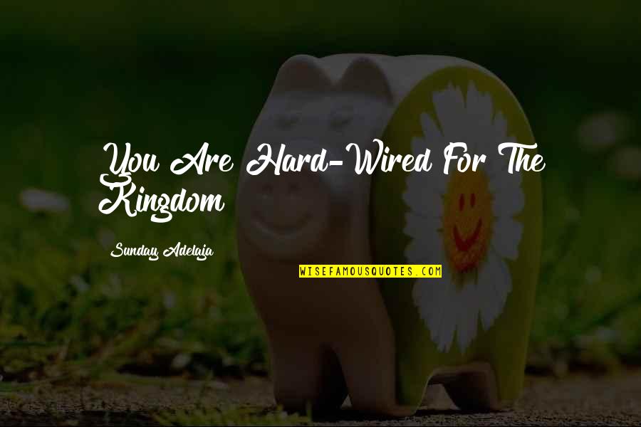 Learning Lessons Hard Way Quotes By Sunday Adelaja: You Are Hard-Wired For The Kingdom