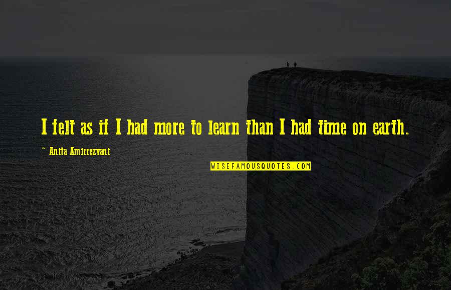 Learning Lessons Quotes By Anita Amirrezvani: I felt as if I had more to