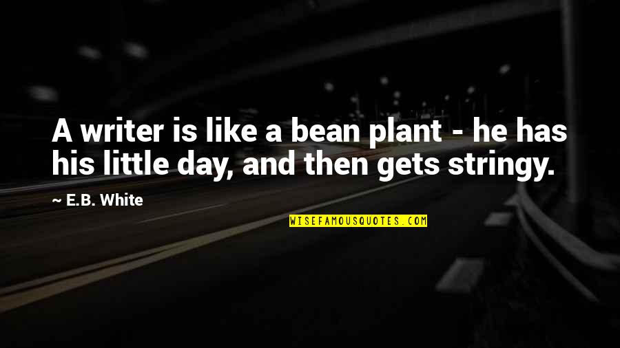 Learning Life Skills Quotes By E.B. White: A writer is like a bean plant -