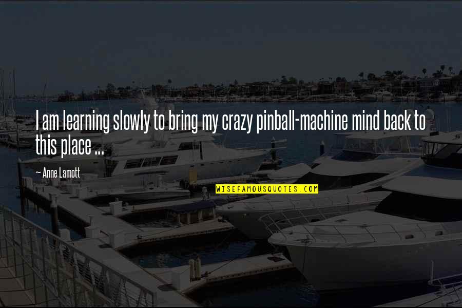 Learning Mind Quotes By Anne Lamott: I am learning slowly to bring my crazy