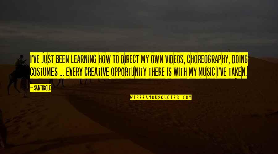 Learning Music Quotes By Santigold: I've just been learning how to direct my