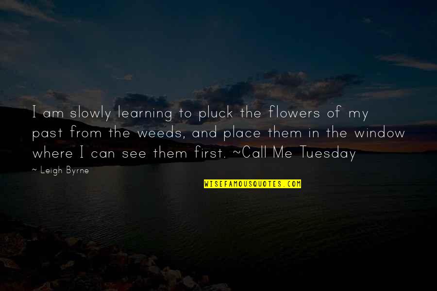 Learning The Past Quotes By Leigh Byrne: I am slowly learning to pluck the flowers