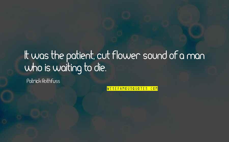 Learning To Be Happy With Yourself Quotes By Patrick Rothfuss: It was the patient, cut-flower sound of a