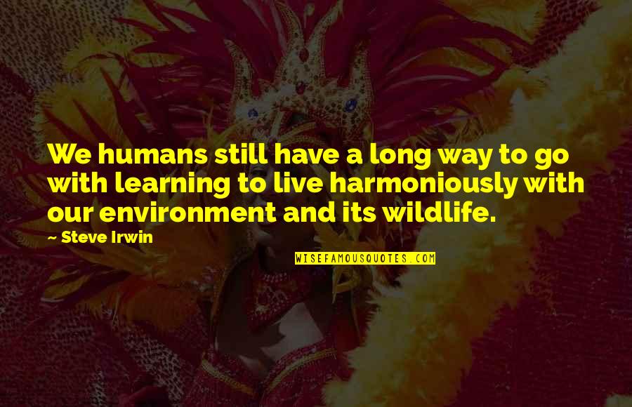 Learning To Be Still Quotes By Steve Irwin: We humans still have a long way to