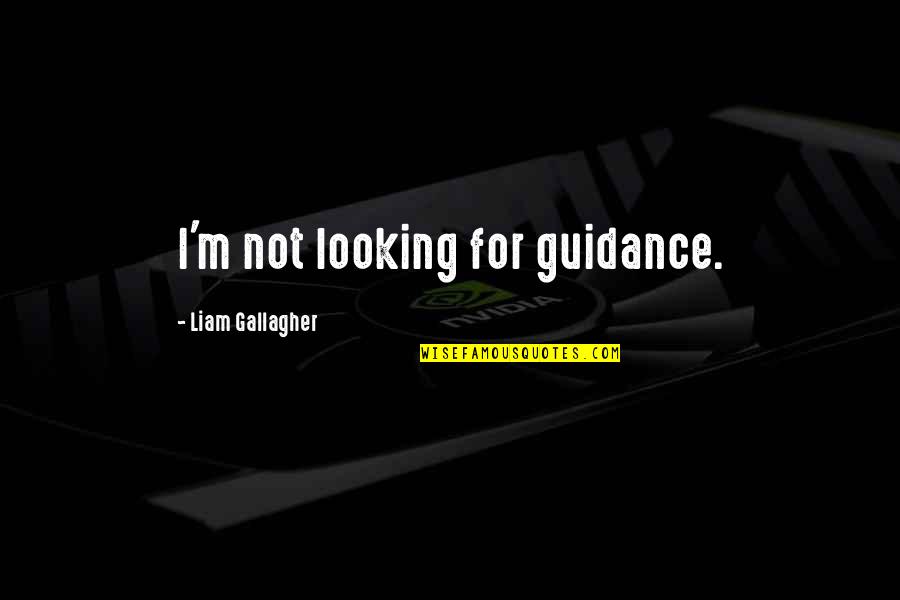 Learning To Lead Quotes By Liam Gallagher: I'm not looking for guidance.