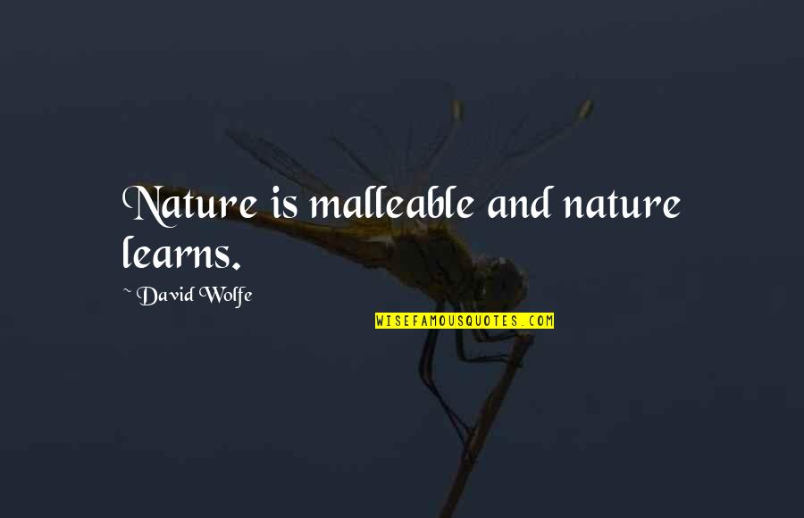 Learns Quotes By David Wolfe: Nature is malleable and nature learns.