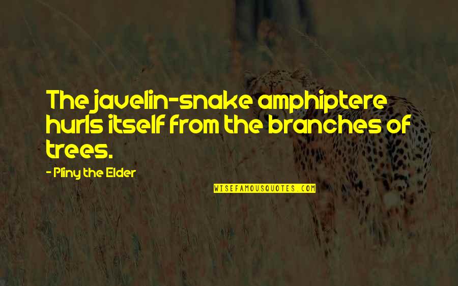 Leased Line Quotes By Pliny The Elder: The javelin-snake amphiptere hurls itself from the branches