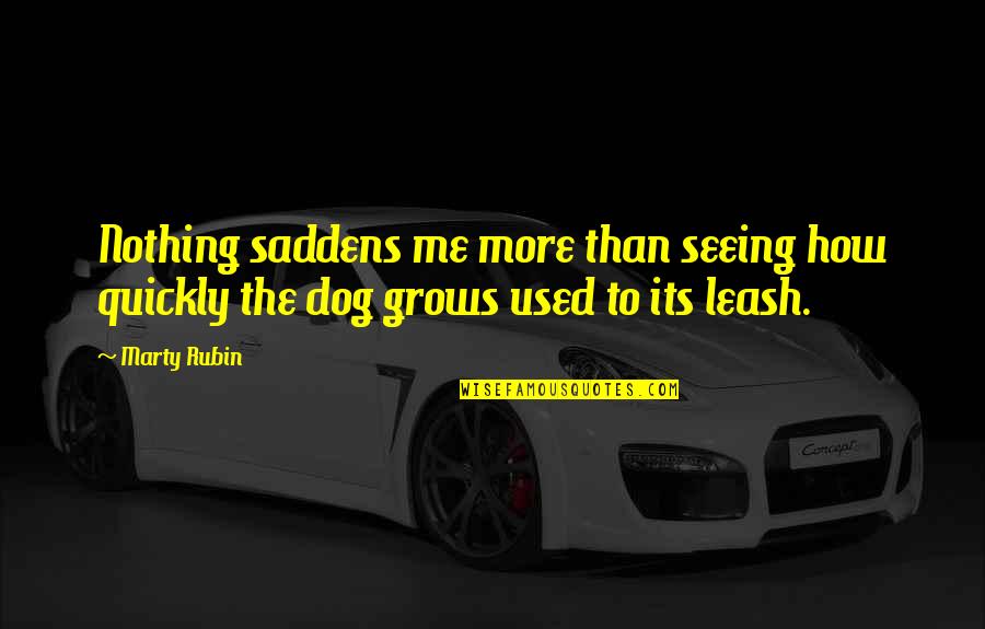 Leash Dog Quotes By Marty Rubin: Nothing saddens me more than seeing how quickly