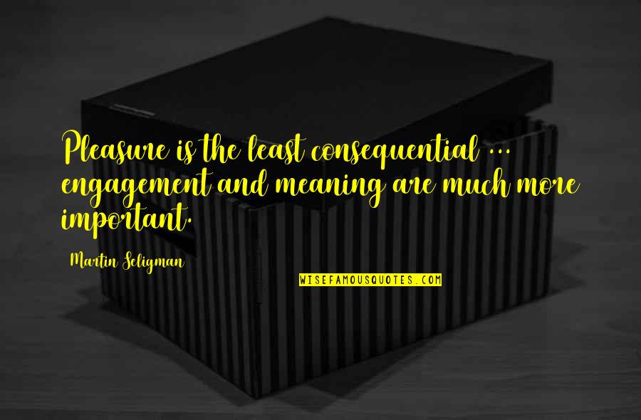 Least Important Quotes By Martin Seligman: Pleasure is the least consequential ... engagement and