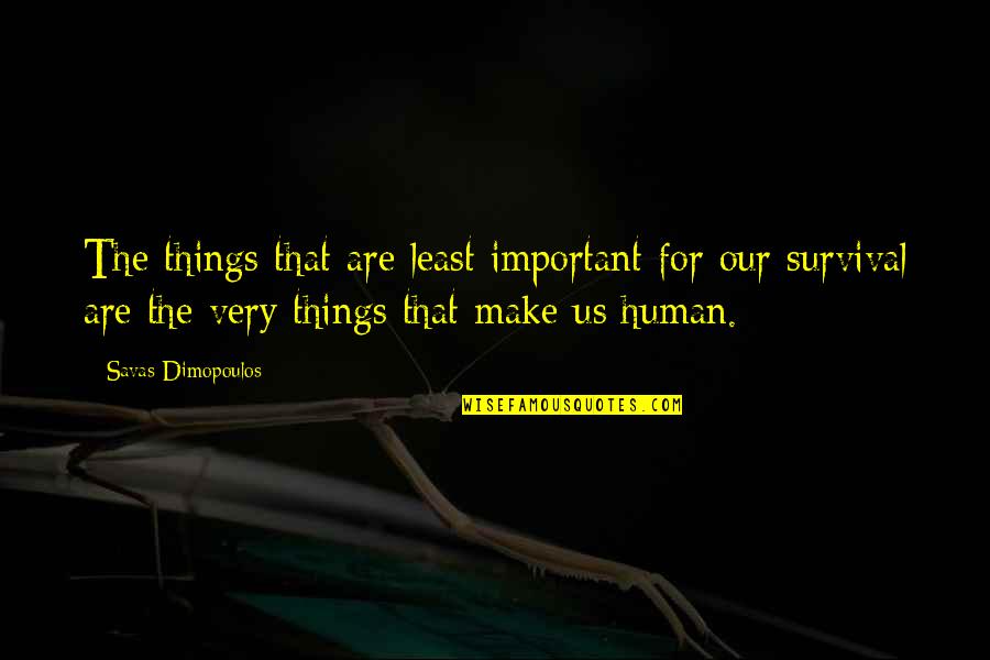 Least Important Quotes By Savas Dimopoulos: The things that are least important for our
