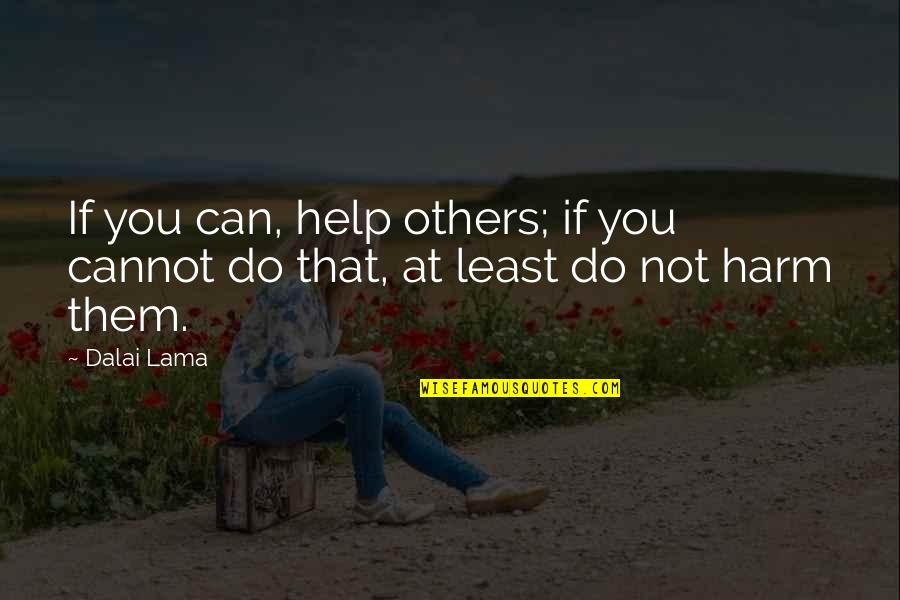 Least We Can Do Quotes By Dalai Lama: If you can, help others; if you cannot
