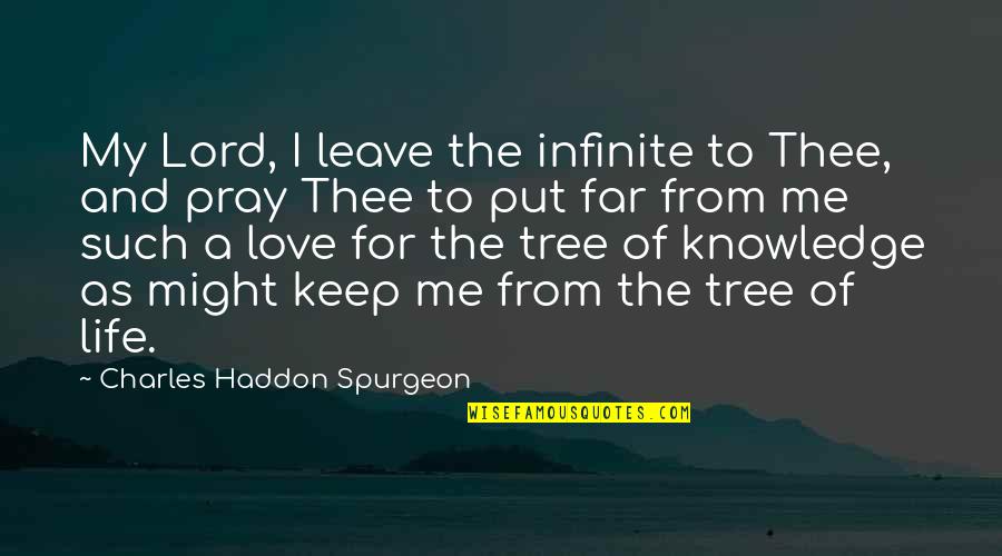 Leave Me Love Quotes By Charles Haddon Spurgeon: My Lord, I leave the infinite to Thee,