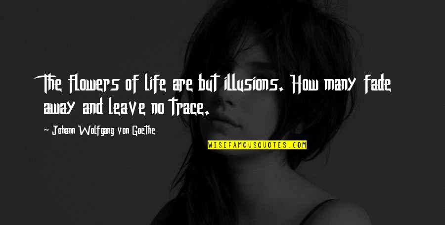 Leave No Trace Quotes By Johann Wolfgang Von Goethe: The flowers of life are but illusions. How