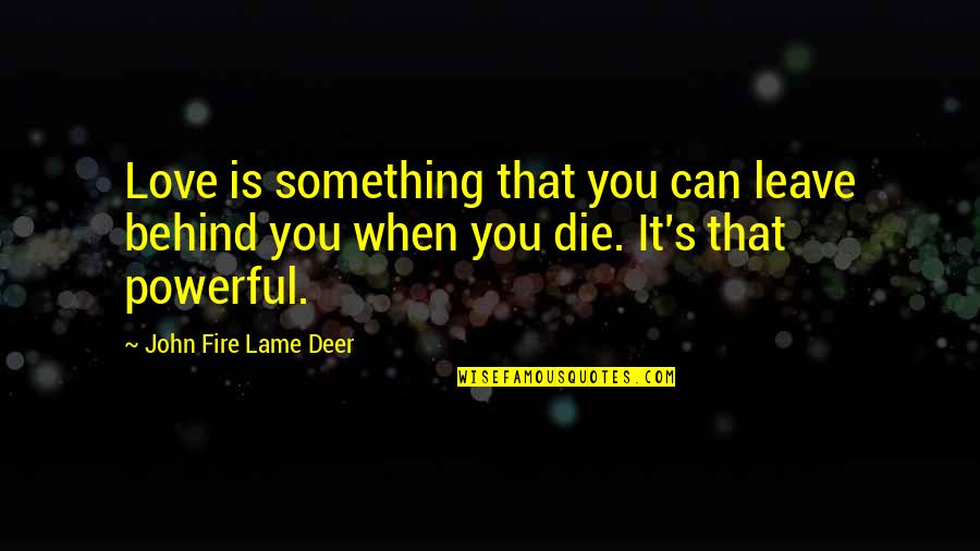 Leave Something Behind Quotes By John Fire Lame Deer: Love is something that you can leave behind