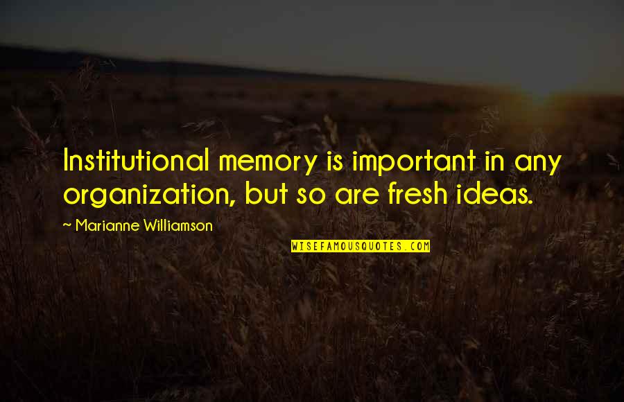 Leave The World A Better Place Quotes By Marianne Williamson: Institutional memory is important in any organization, but