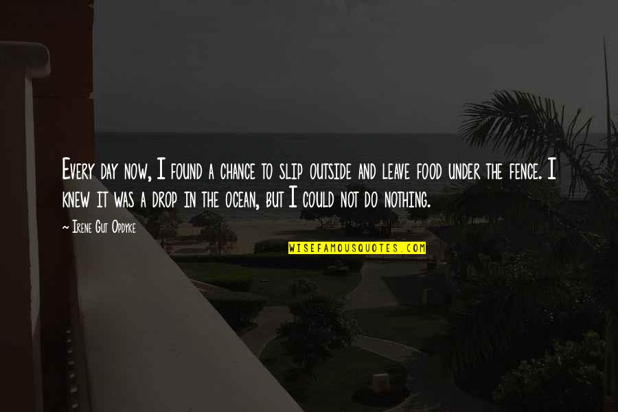 Leave To Chance Quotes By Irene Gut Opdyke: Every day now, I found a chance to