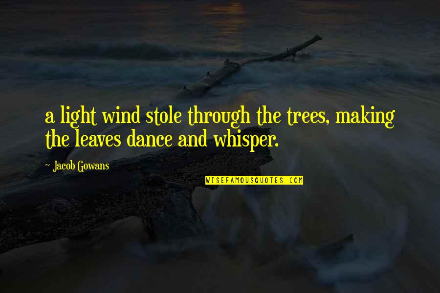 Leaves And Light Quotes By Jacob Gowans: a light wind stole through the trees, making