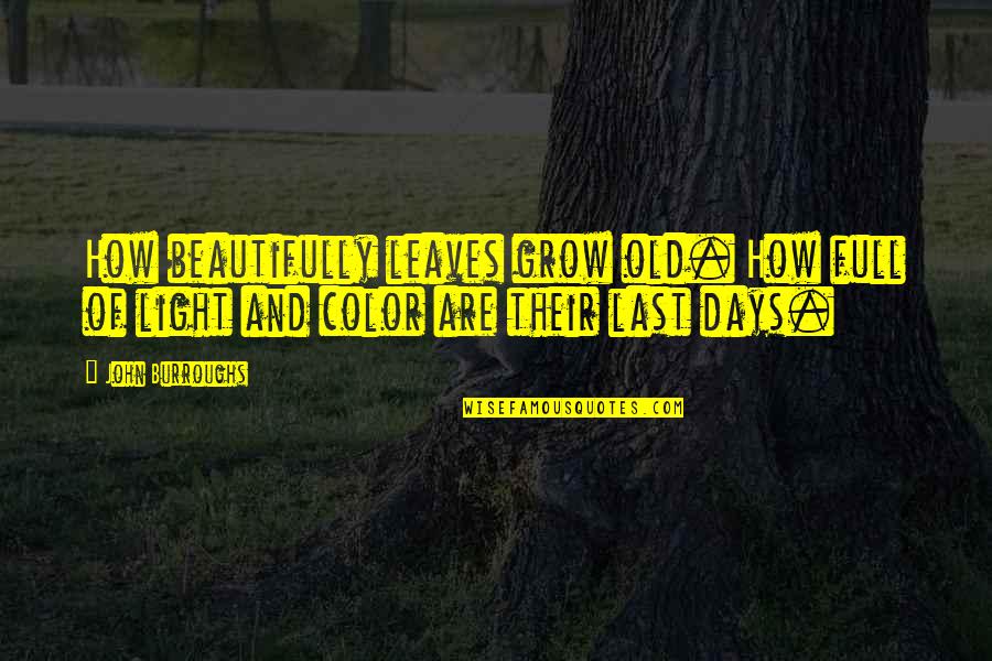 Leaves And Light Quotes By John Burroughs: How beautifully leaves grow old. How full of