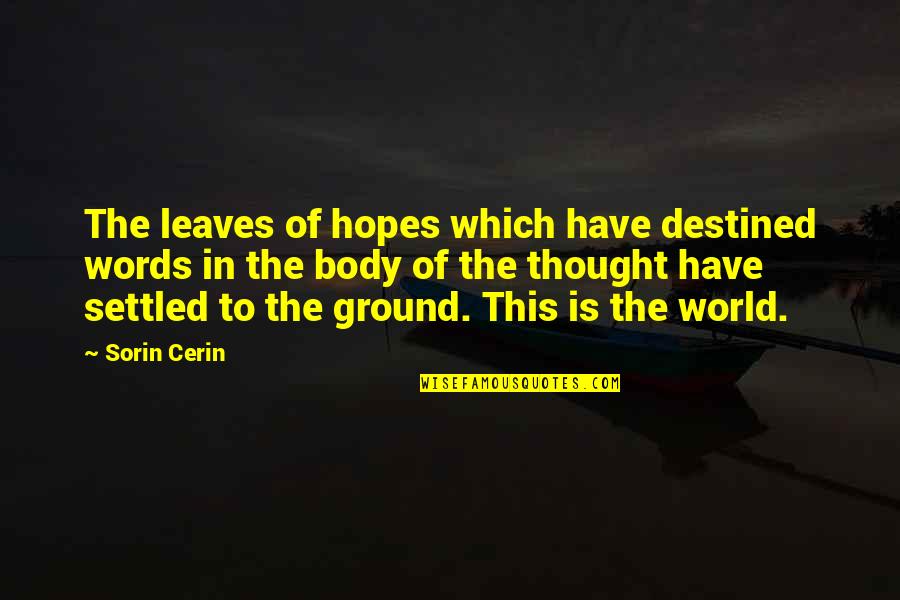 Leaves On The Ground Quotes By Sorin Cerin: The leaves of hopes which have destined words