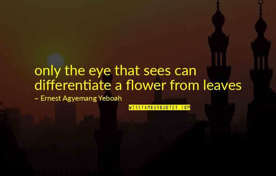 Leaves Quotes And Quotes By Ernest Agyemang Yeboah: only the eye that sees can differentiate a