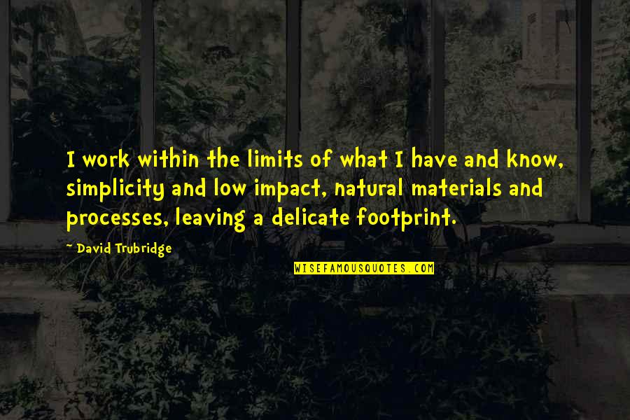 Leaving A Footprint Quotes By David Trubridge: I work within the limits of what I Leaving A Footprint Quotes By David Trubridge: I work within the limits of what I