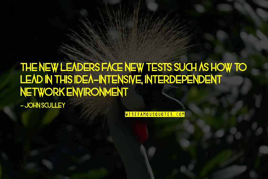 Leaving In My Care Quotes By John Sculley: The new leaders face new tests such as
