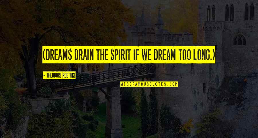 Leaving Past Behind Quotes By Theodore Roethke: (Dreams drain the spirit if we dream too