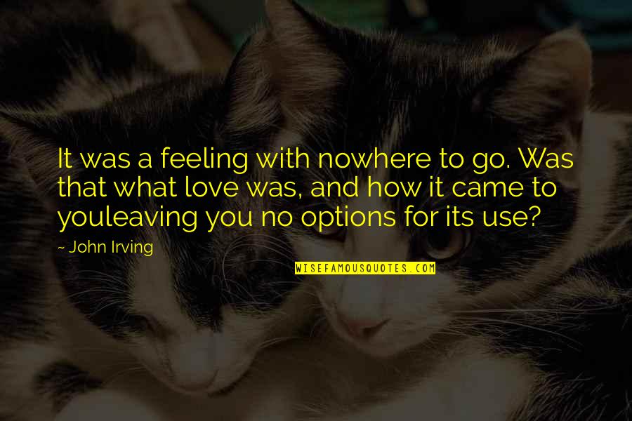 Leaving What You Love Quotes By John Irving: It was a feeling with nowhere to go.