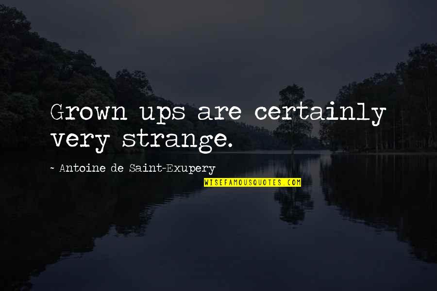 Leaving Your Worries Behind Quotes By Antoine De Saint-Exupery: Grown ups are certainly very strange.