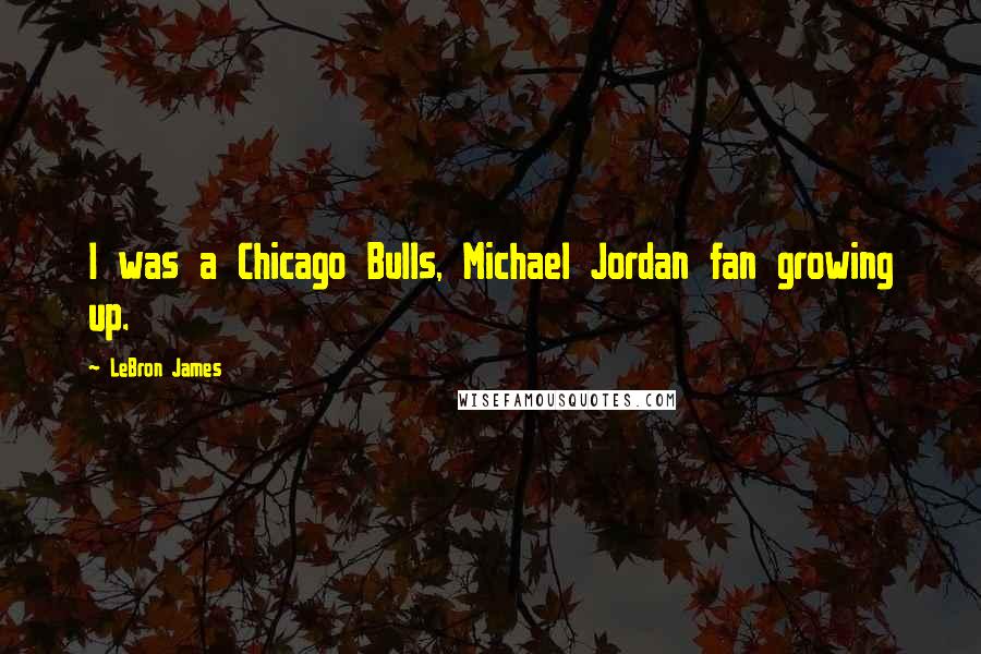 LeBron James quotes: I was a Chicago Bulls, Michael Jordan fan growing up.