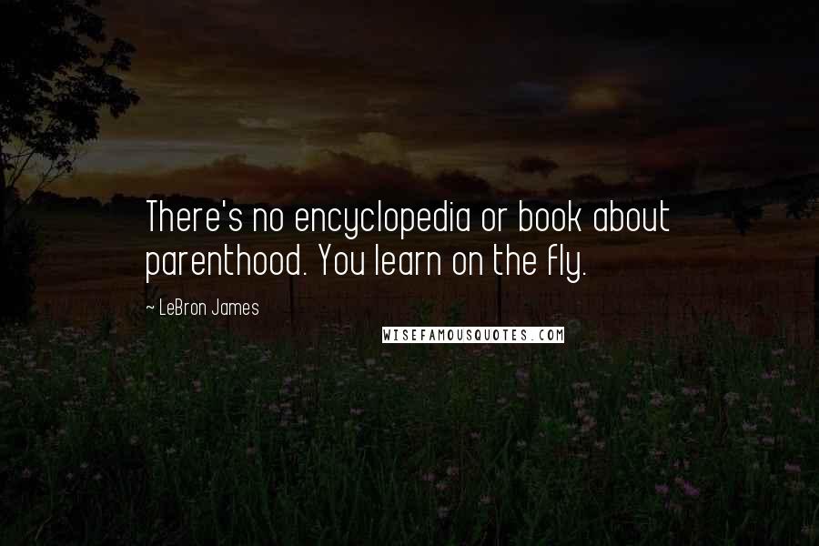 LeBron James quotes: There's no encyclopedia or book about parenthood. You learn on the fly.