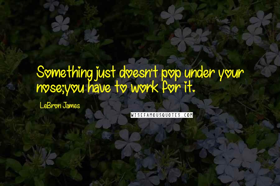 LeBron James quotes: Something just doesn't pop under your nose;you have to work for it.