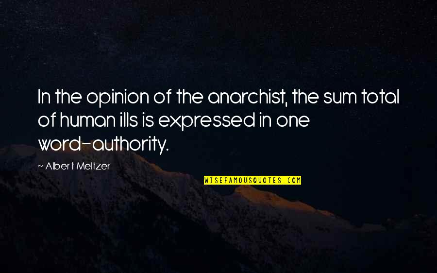 Lecet Adalah Quotes By Albert Meltzer: In the opinion of the anarchist, the sum