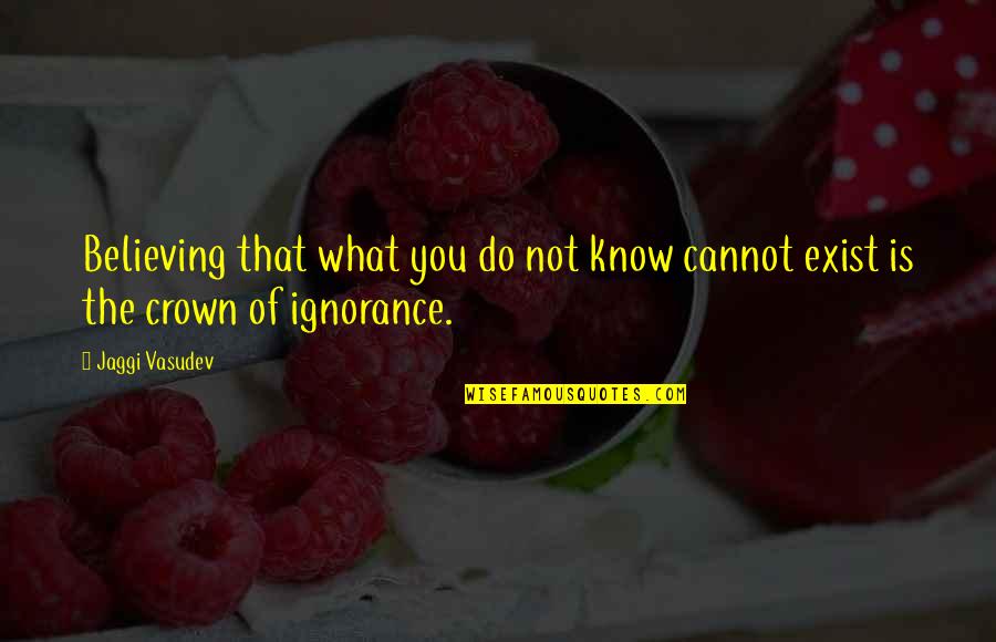 Leches Maternizadas Quotes By Jaggi Vasudev: Believing that what you do not know cannot