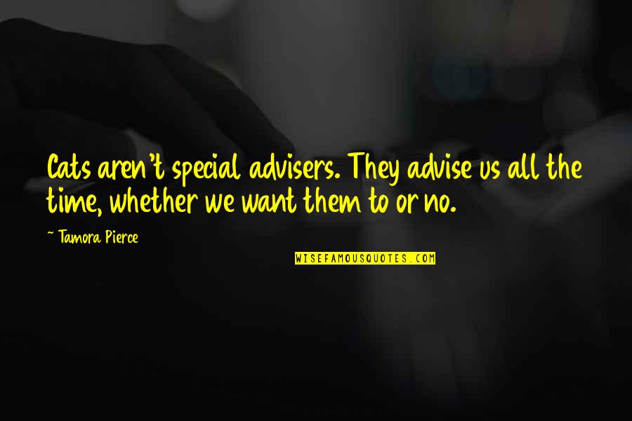 Lecuyer Room Quotes By Tamora Pierce: Cats aren't special advisers. They advise us all Lecuyer Room Quotes By Tamora Pierce: Cats aren't special advisers. They advise us all